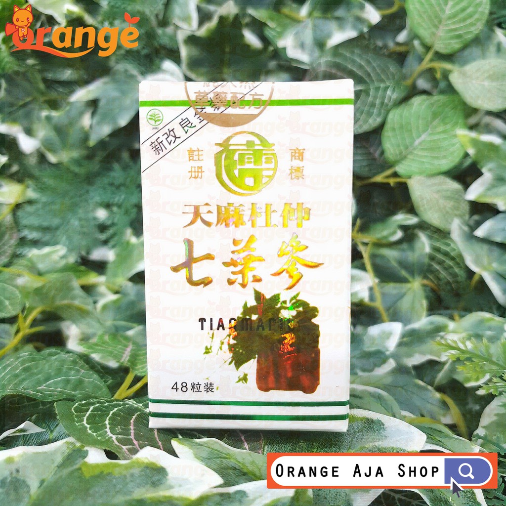 

TIAN MA PIL / SEVEN LEAVE GINSENG