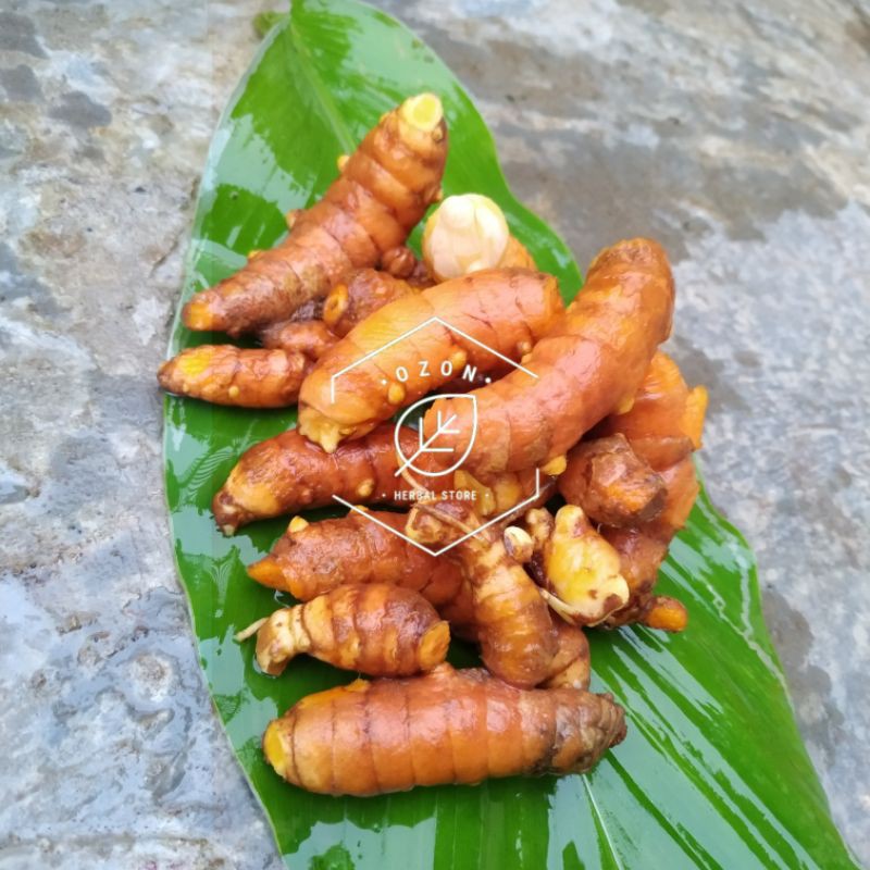 

Kunyit Kunir Koneng Kuning Segar 1kg