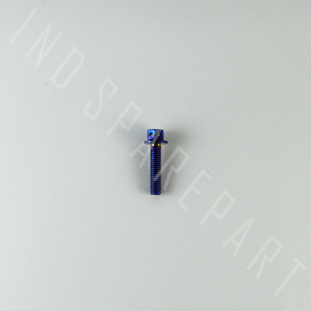 Baut-Baud Probolt-Pro Bolt Blue-Biru M6x25-6x25-6 x 25 Kunci 8 Drat 10