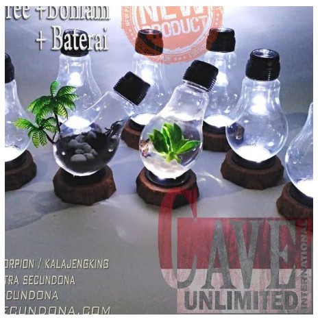 IPY・ Terrarium aquarium unik lampu meja kamar hiasan rumah kantor ikan hias Model terbaru ☆ ☣♪