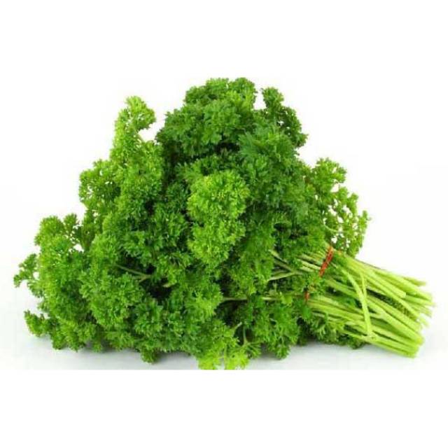 Benih Parsley atau Seledri Keriting kemasan Repack isi 30 