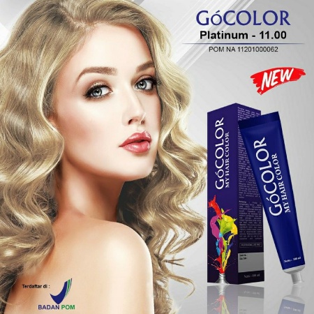 ⭐BAGUS⭐ GOCOLOR Hair Color Cream | Semir Pewarna Rambut Permanen Go Street Shampoo