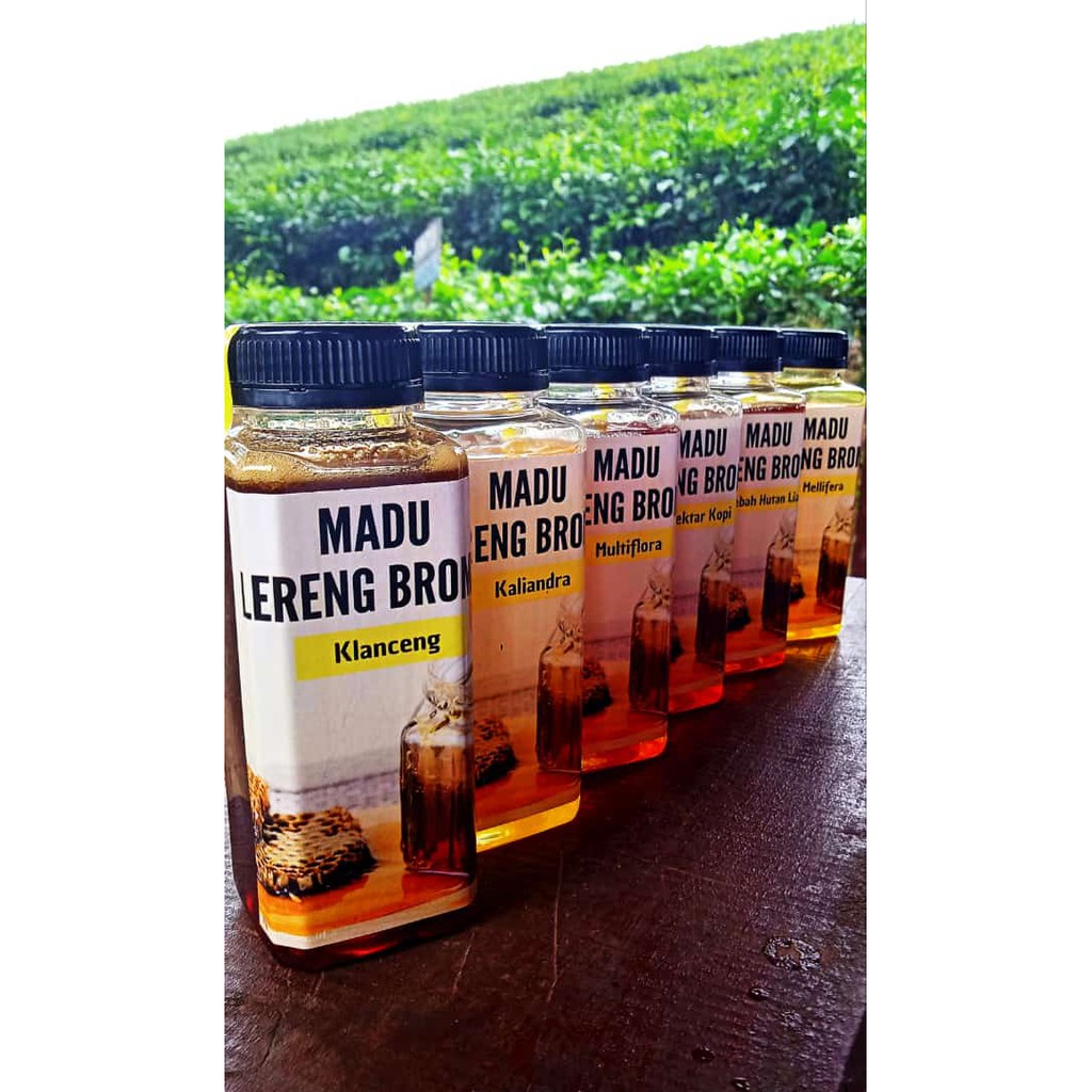 

Madu Lereng Bromo