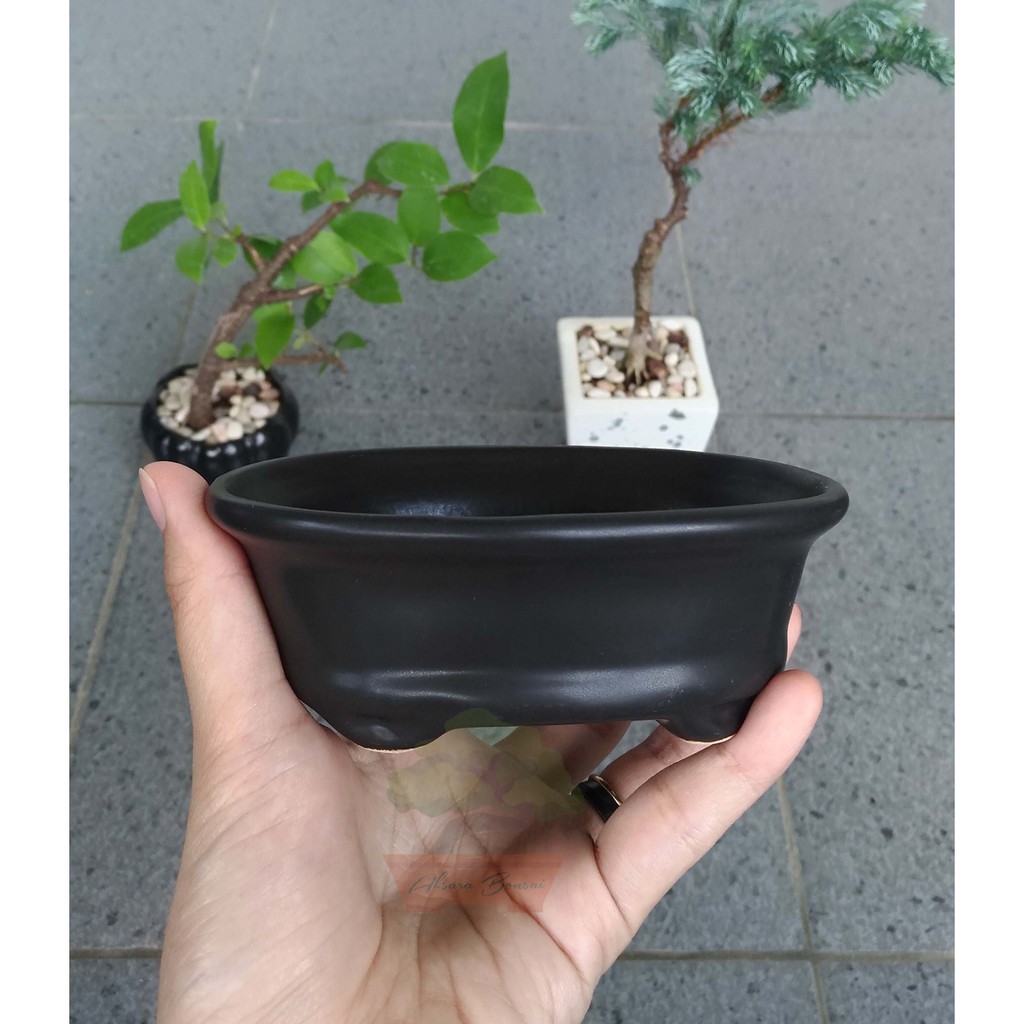 Pot Bonsai Keramik Oval Kecil/Mame Plus Akadama