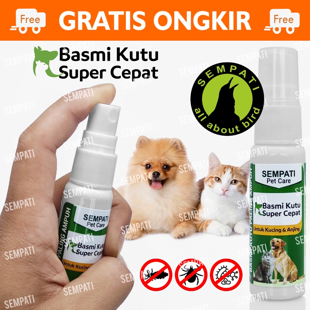 Obat Kutu Scabies Kucing Semprot Basmi Kutu Super Cepat Easy Remover Flea Tick Killer Obat Kulit Kucing Gatal Spray Obat Kucing Anjing Anabul Kitten Puppy Anti Kutu Tungau Jamur Parasit