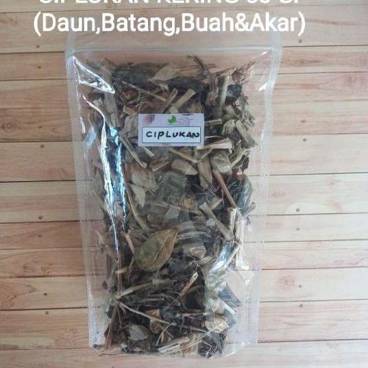 

GROSIR Ciplukan Kering 50 Gr/Teh Ciplukan /Teh Cecenet/Ceplukan/Cecendet