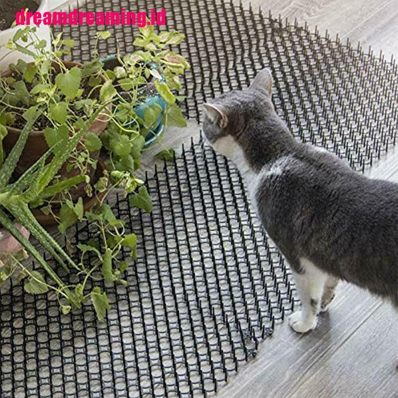 Paku Penggali Kucing Portabel Untuk Taman