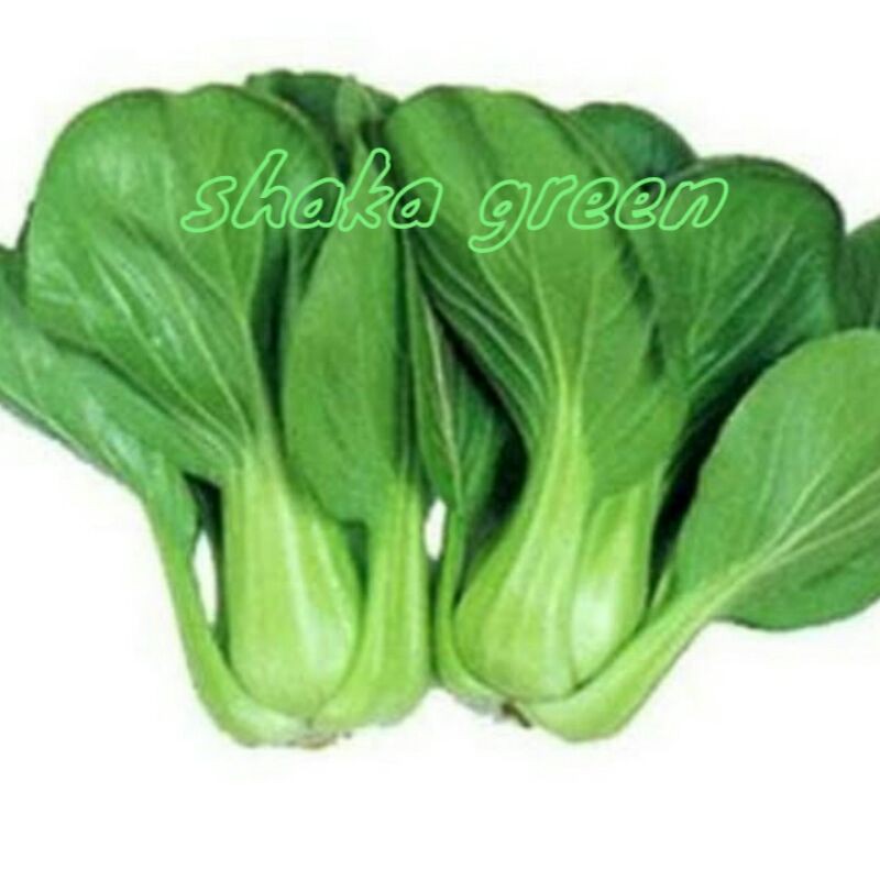 

pakchoy