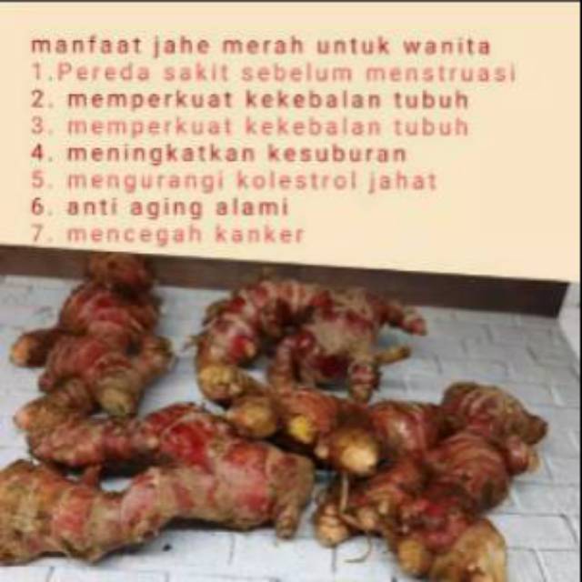 JAHE MERAH MEDAN MURAH MERIAH JAHE MERAH SEGAR 1kg JAHE MERAH DENGAN TANAH