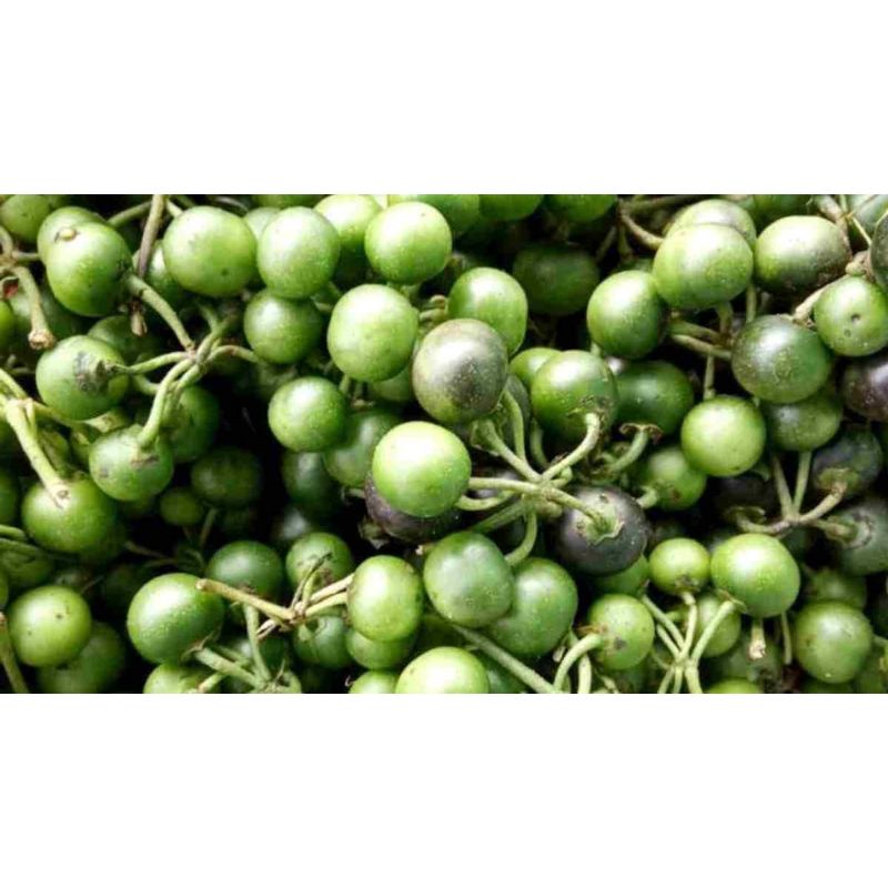 

lenca sayur 250gr
