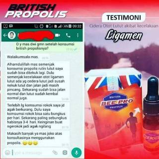 Khasiat British Propolis British Propolis Premium