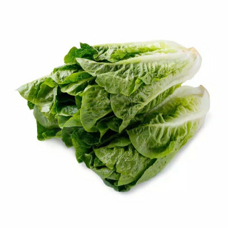 Romaine Lettuce 250gr