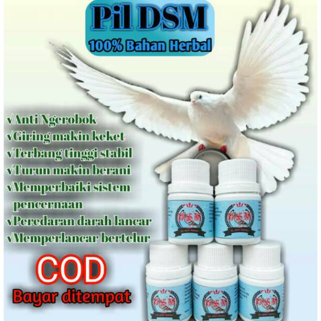 Pil Merpati Kolong DSM Burung Merpati
