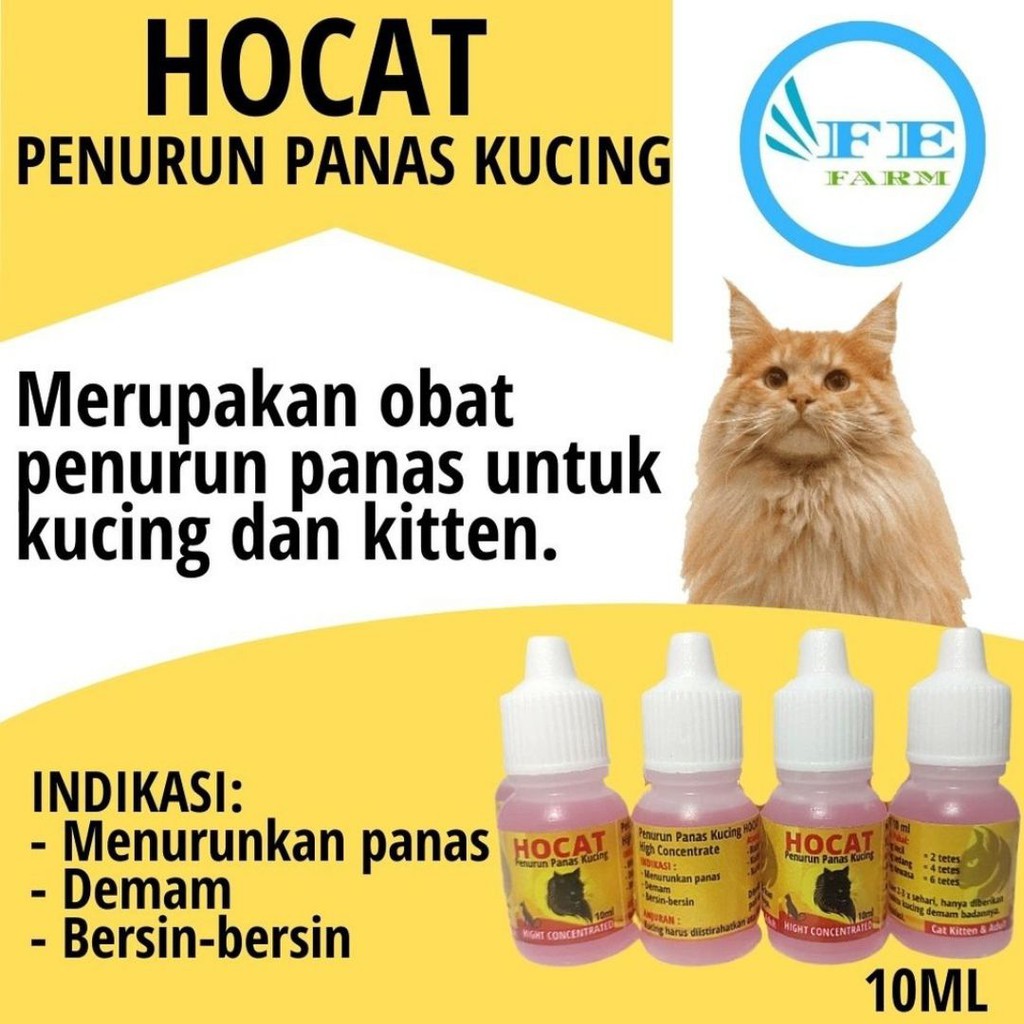 Hocat 10 ml Obat Penurun Demam Panas Pada Kucing FEFARM