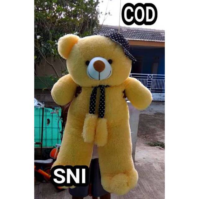 Boneka Besar Beruang Teddy Bear Jumbo 1 Meter | Shopee