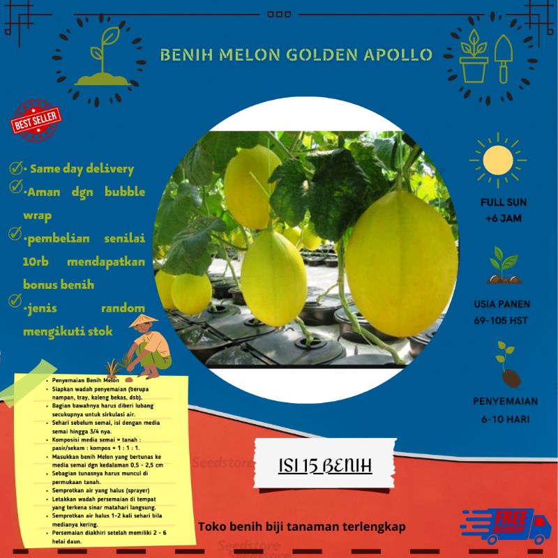 15 benih Bibit Melon Apollo Golden Emas Hibrida