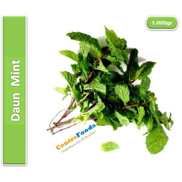 

Daun Mint Fresh - Papermin Fresh | 1.000gr [ Harga Per KG ]