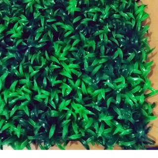 Rumput Plastik Akuarium Hiasan Akuarium Uk 24x24 Model Rumput