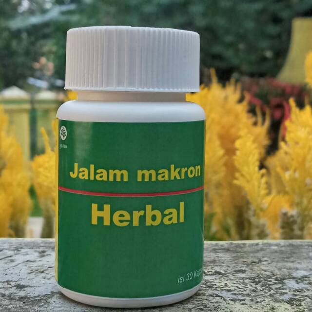 Obat herbal luka lambung maagh kronis paling ampuh
