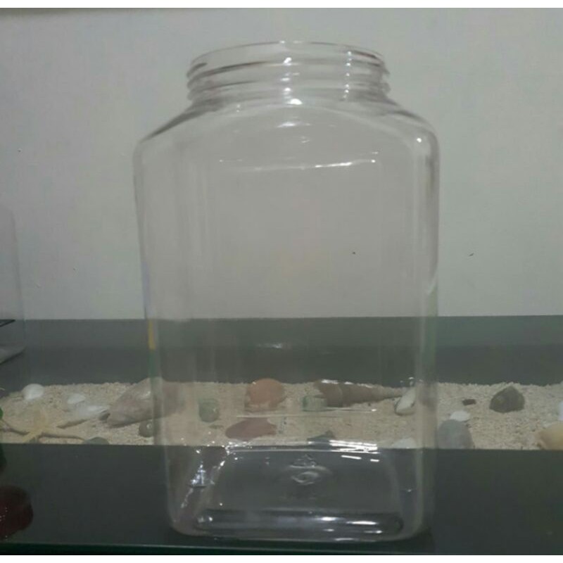 Toples kotak plastik bening pet 4 liter ikan cupang