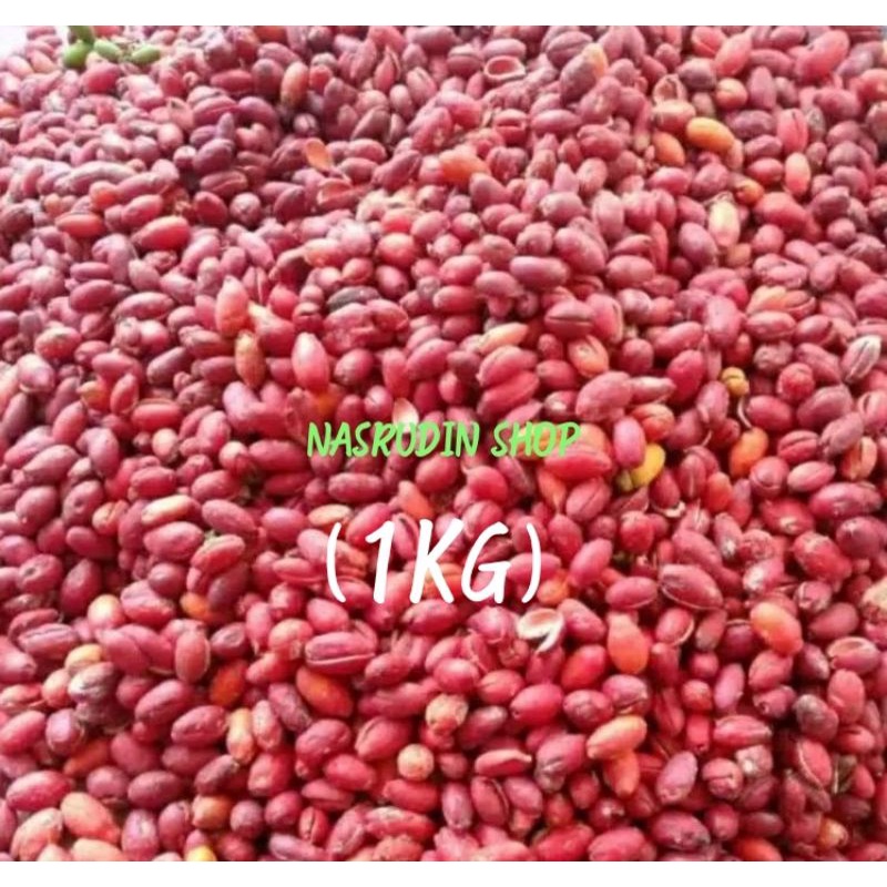 

KULIT MELINJO 1KG / KULIT MELINJO MERAH MATANG SEGAR / MLINJO / MALINJO / TANGKIL