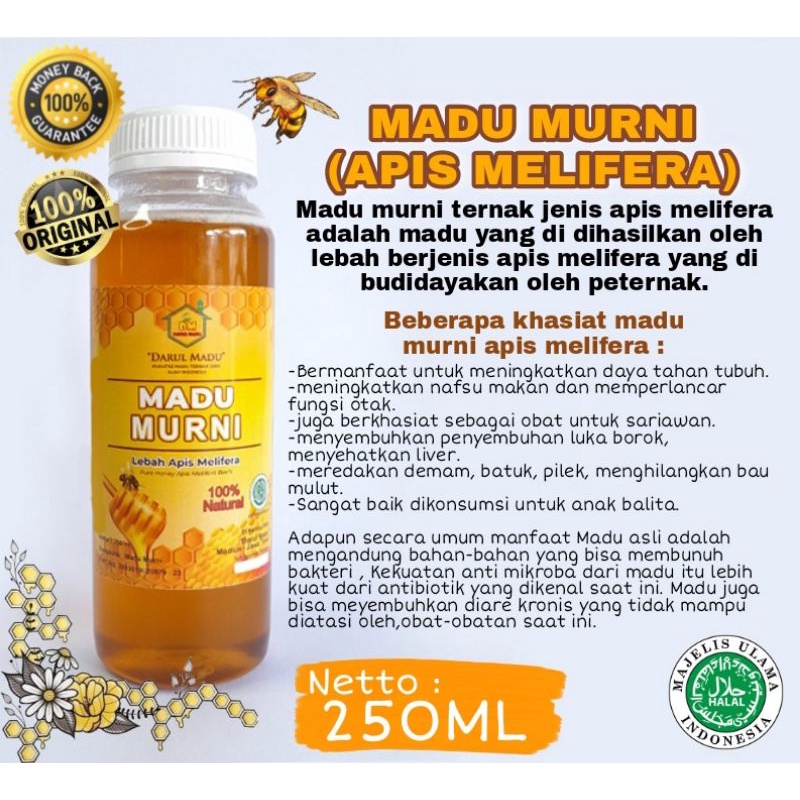 

MADU MURNI 100% (Apis Mellifera) 250mili