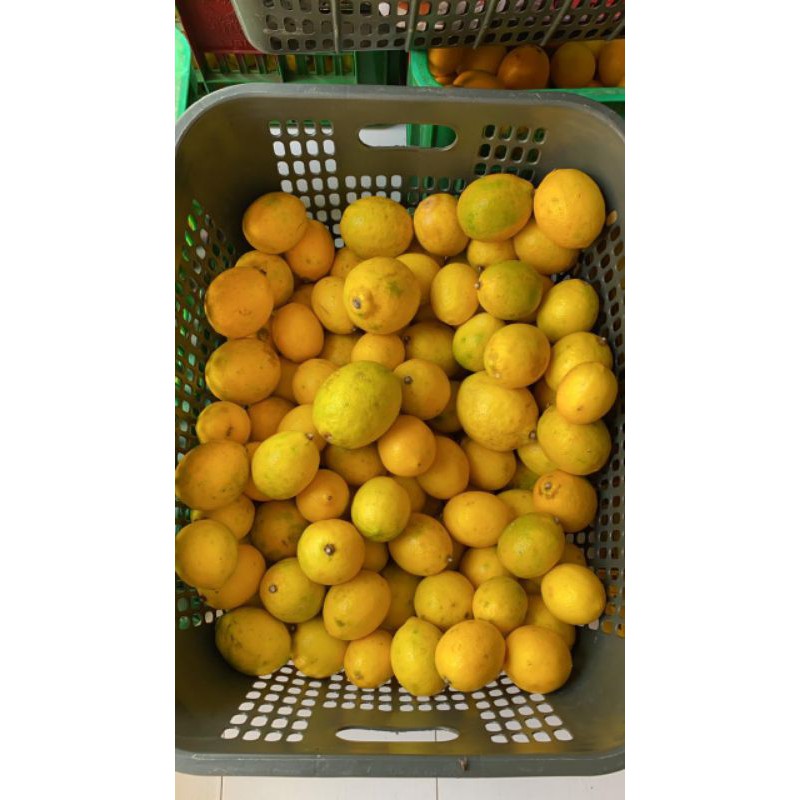 Jeruk Lemon California Kualitas Riject by Suur Lemoen ID 500 gram