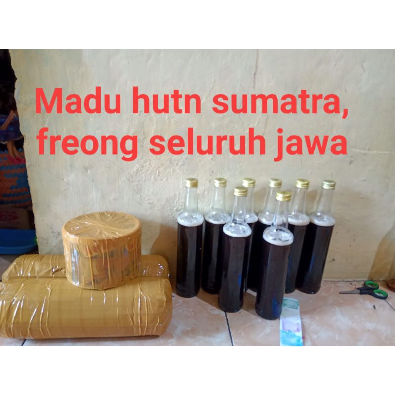 

madu hutan sumatra