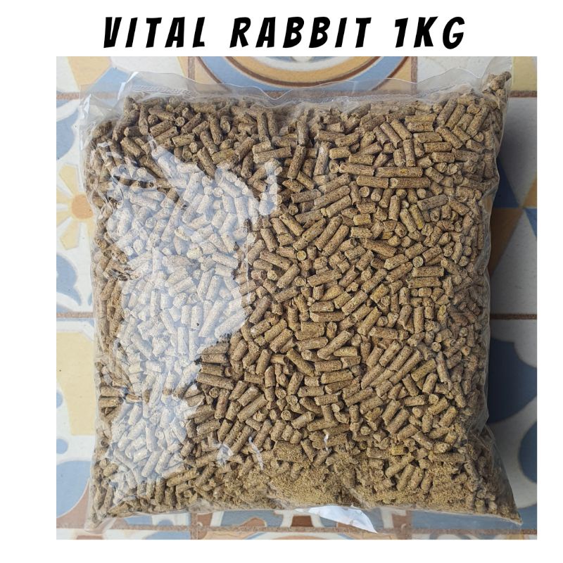 Harga Vital Rabbit Bandung Terbaru Des 2025 | BigGo Indonesia
