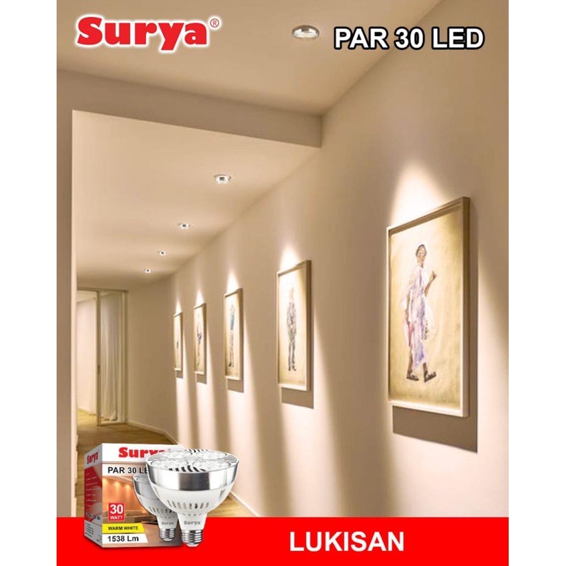 PAR 30 LED Warm White 20w/ 30w Surya