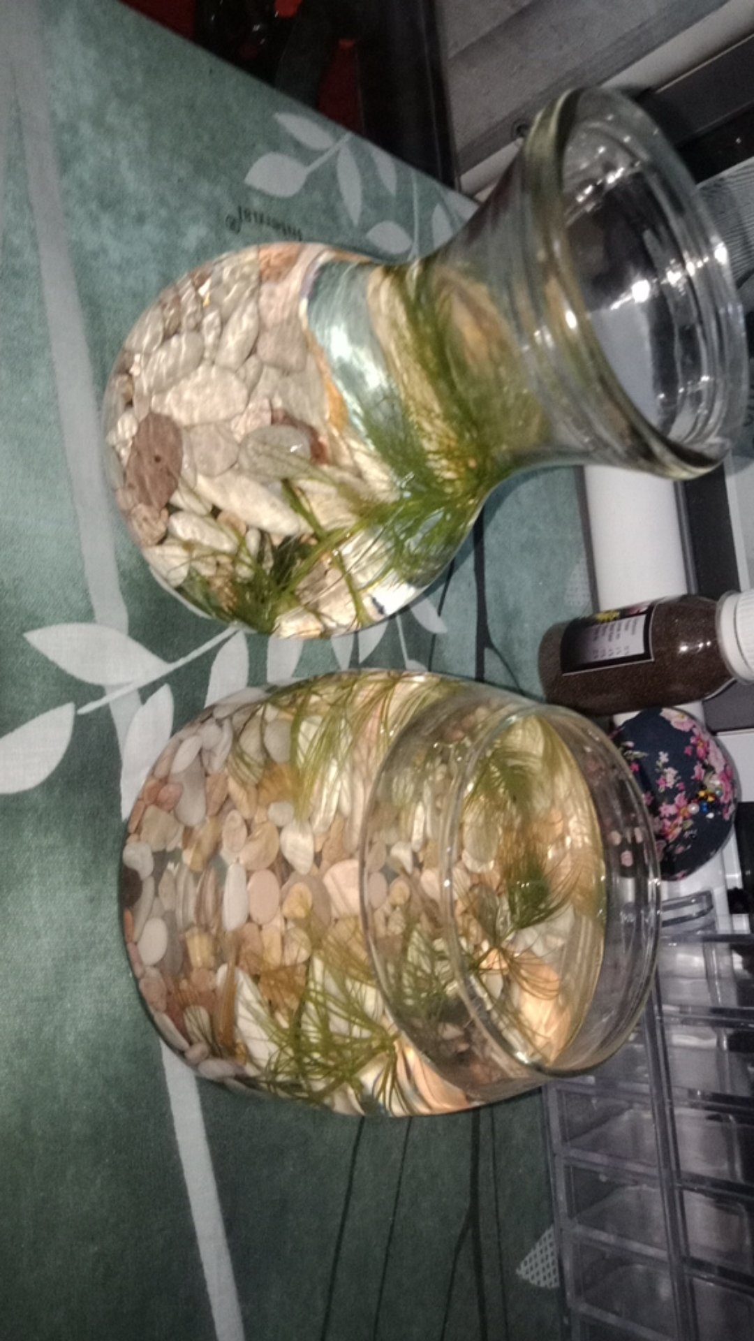 Ovale Glass Jar 750 Ml | Toples Kaca Kedap Udara | Jar Kaca