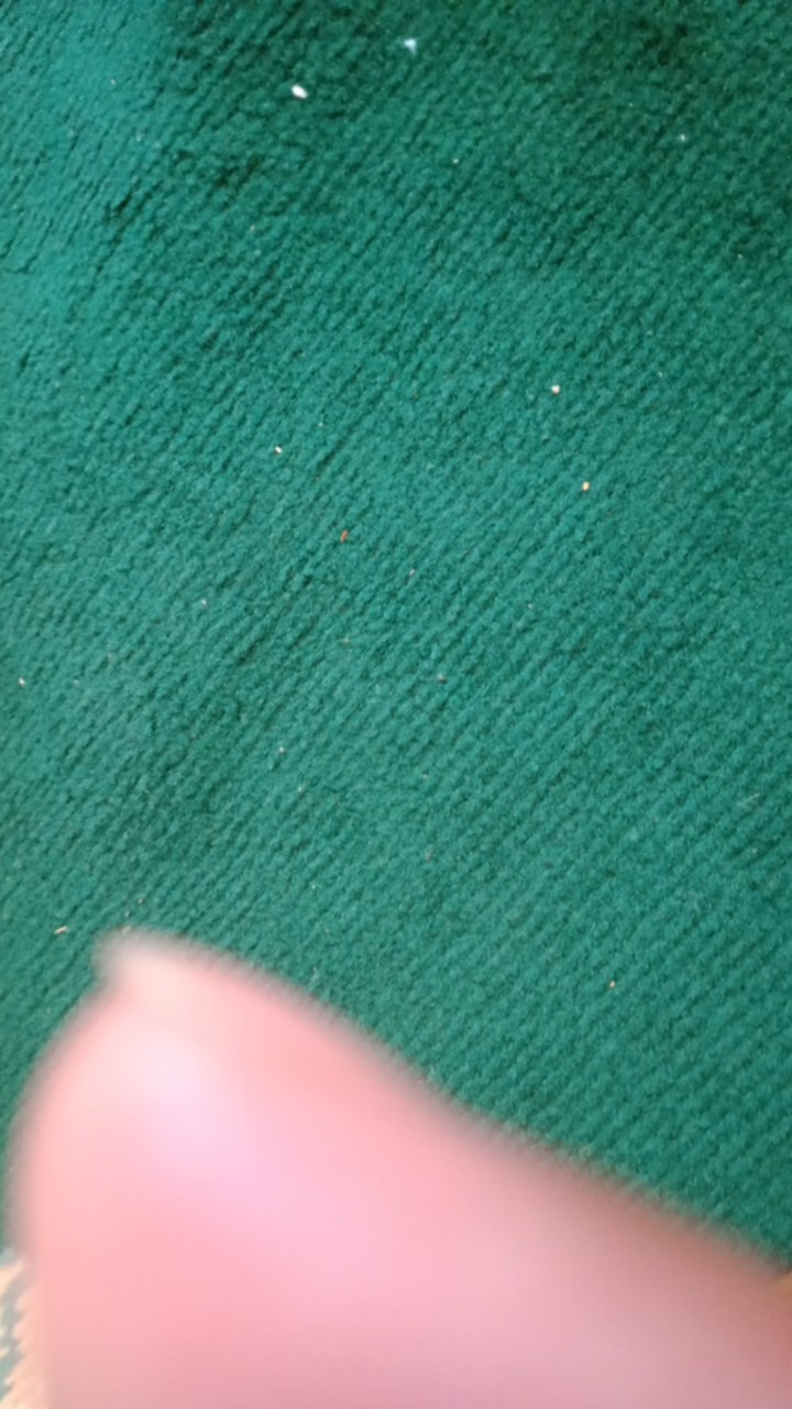 Preset Lightroom Termurah