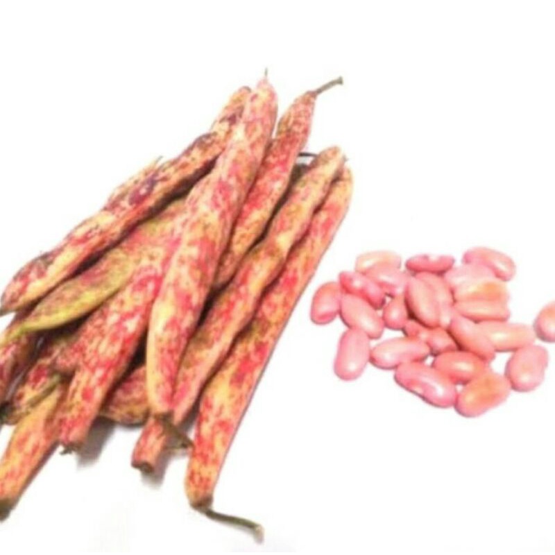

Kacang merah sayur 250g