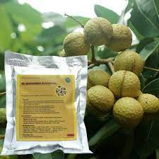 Pupuk Booster  Kelengkeng Boster Perangsang Buah Kelengkeng Pupuk Booster Perangsang Buah Kelengkeng