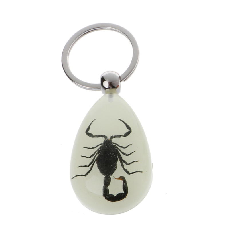 Siy Luminous Amber Insect Keychain Black Scorpion Resin Untuk Gantungan Kunci Glow in the Dark Liontin Dengan Sample Serangga Di Dalam