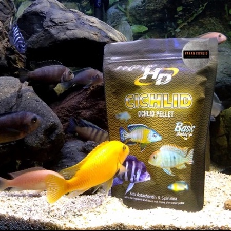 [PAKAN CICHLID] Pelet Ikan HD CICHLID sinking (tenggelam) 250 gr