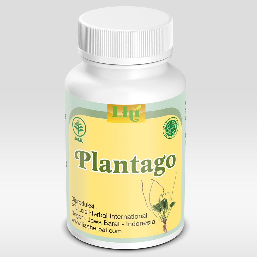 Plantago Liza Herbal Untuk Pegal Linu