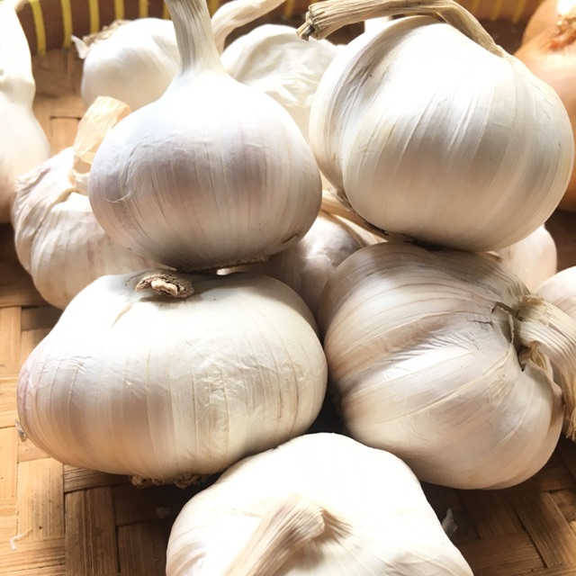 

Bawang Putih Honan/ Banci