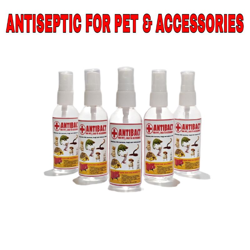 ANTIBACT Antiseptik antiseptic desinfektan kandang reptile hewan kura kura darat sulcata sulkata torto tortoise ular kadal pembersih antiseptik kandang reptile tortoise kura kura kucing anjing kelinci-3