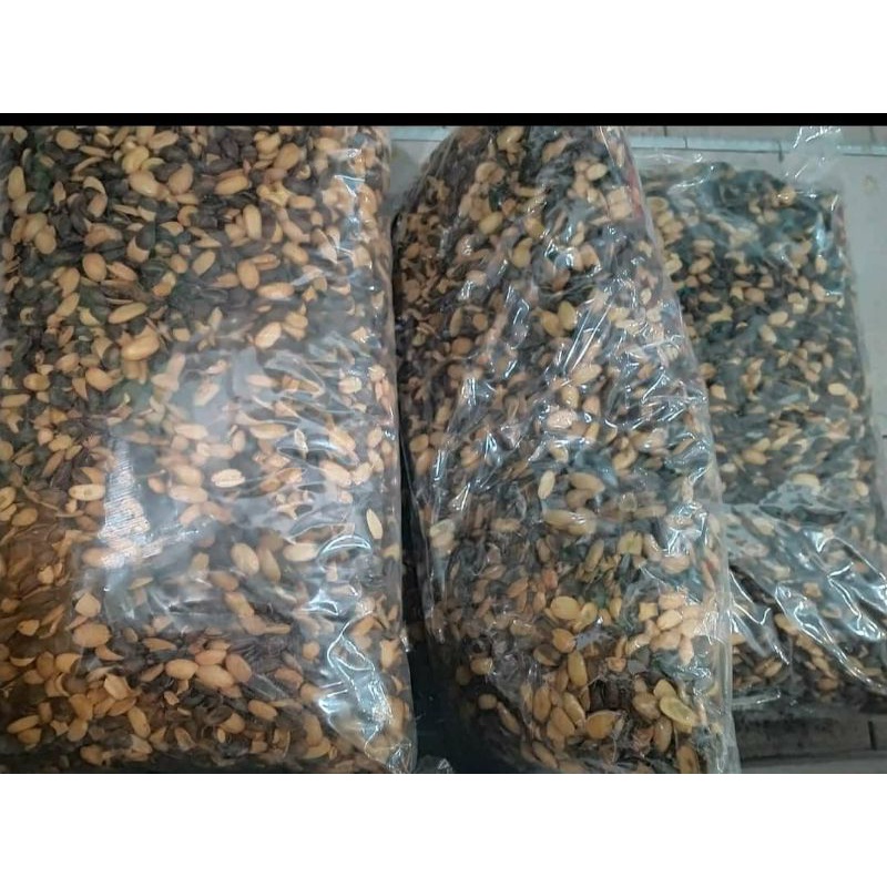 

biji kacang kedawung 1kg sangrai