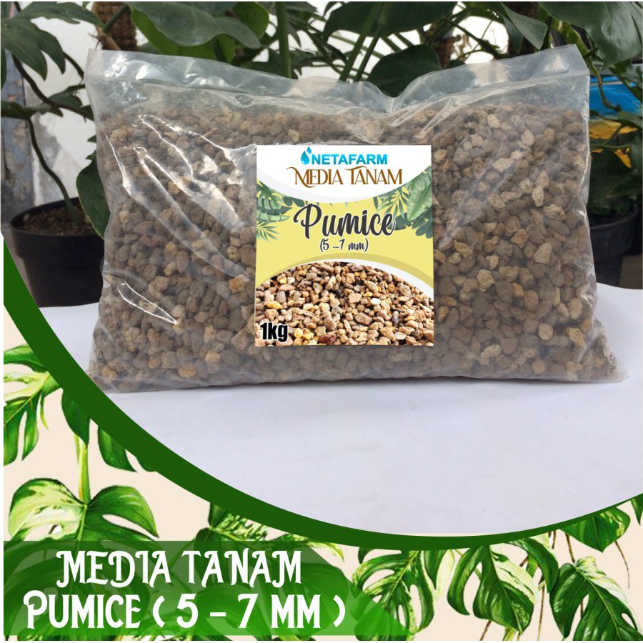 Media Tanam / Filter PUMICE / Batu Apung Kerikil size 5 - 7 mm