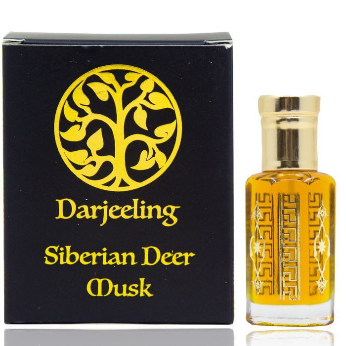 6ml siberian deer musk oil attar / kasturi parfum minyak wangi arab
