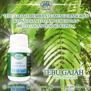 Herba Tuju Angin - 