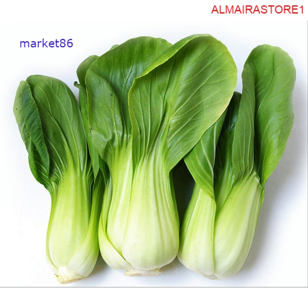 

Grosir Sayur Sayuran Segar FRESH Pakchoy 250 Gram - Market86