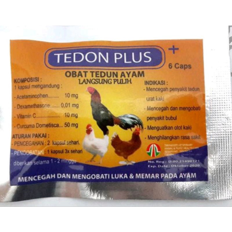 TEDON PLUS TAMA OBAT TEDUN AYAM LANGSUNG PULIH INSTAN ASLI ORI vitamin turun urat saraf herbal kaki beri beri bubul bengkak