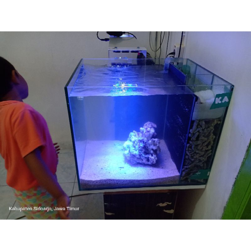 aquarium laut set,,40*50*40