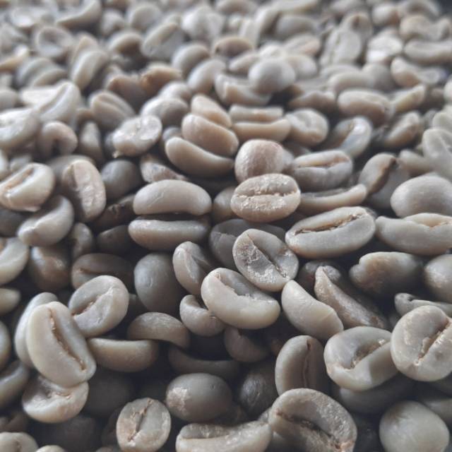 

Kopi Beras / Green Beans Arabika Kalosi Enrekang Matawai