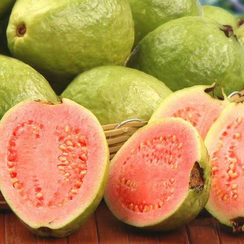 

Jambu Batu 1 kg