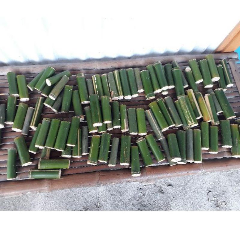 Ulat Bambu Isi10 Ulet Seger" Ulat Bumbung Cangcilung Umpan Mancing Pakan Ikan Pakan Burung