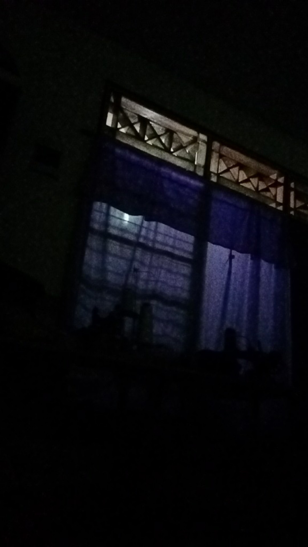 Mantap!! Benih - Bibit - Biji Bunga Rainbow Rose / Mawar Pelangi Ayo Beli